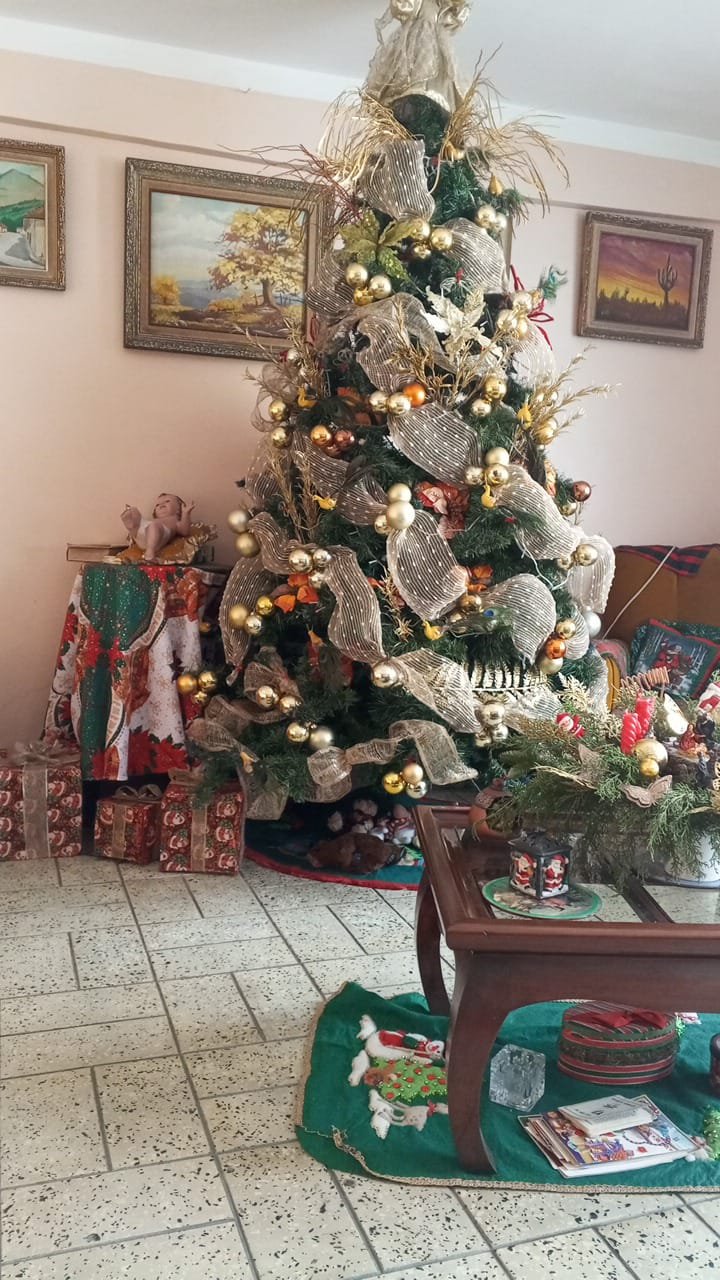 Creación de Rosa Marilu